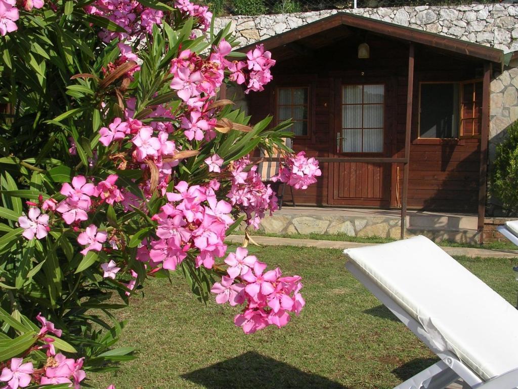 Onur Motel Faralya Dış mekan fotoğraf