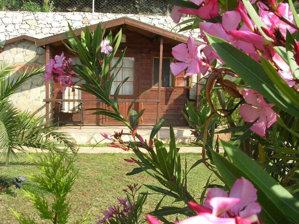 Onur Motel Faralya Dış mekan fotoğraf